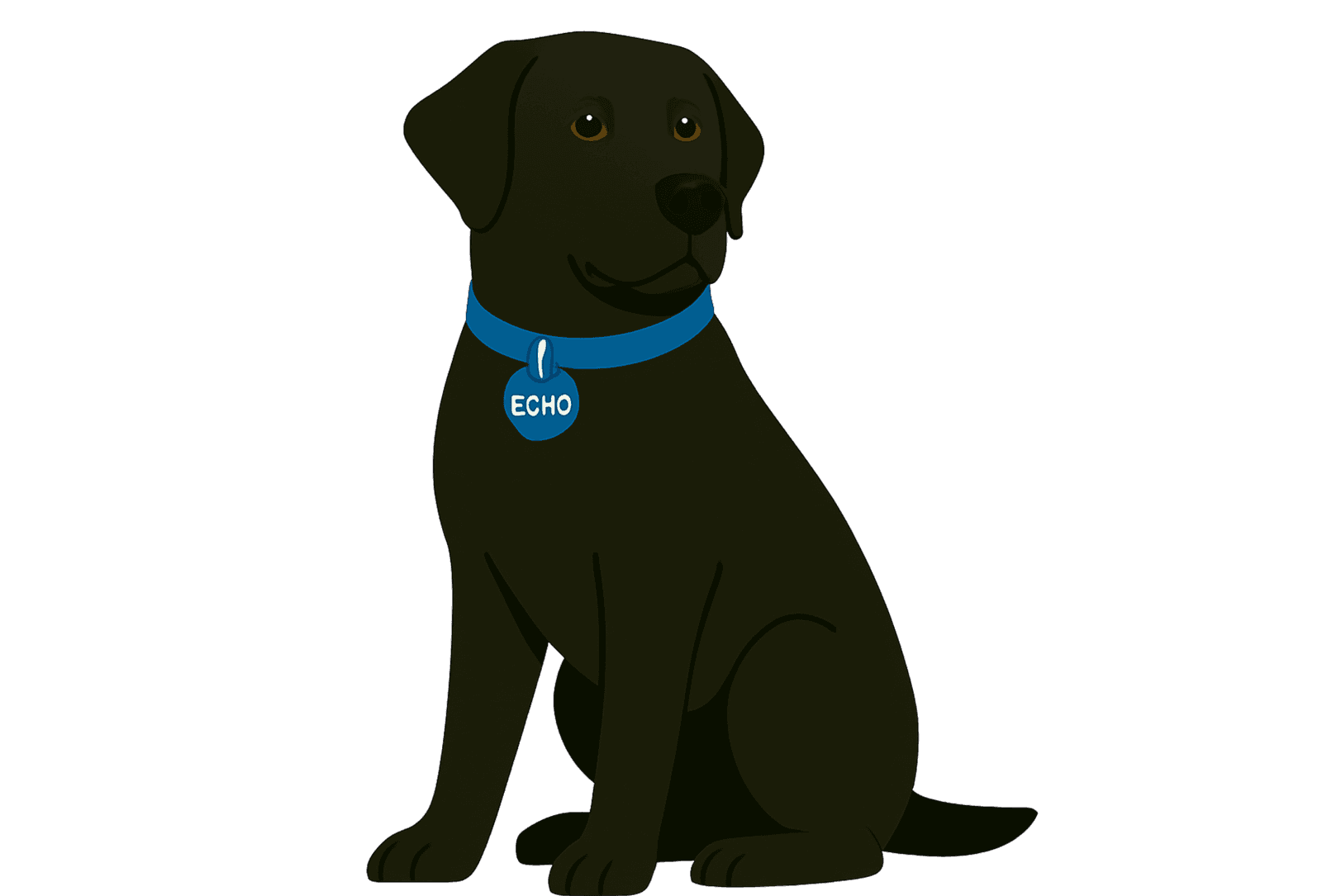 Willis Cooper office dog